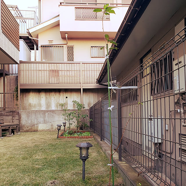 masaさんの実例写真