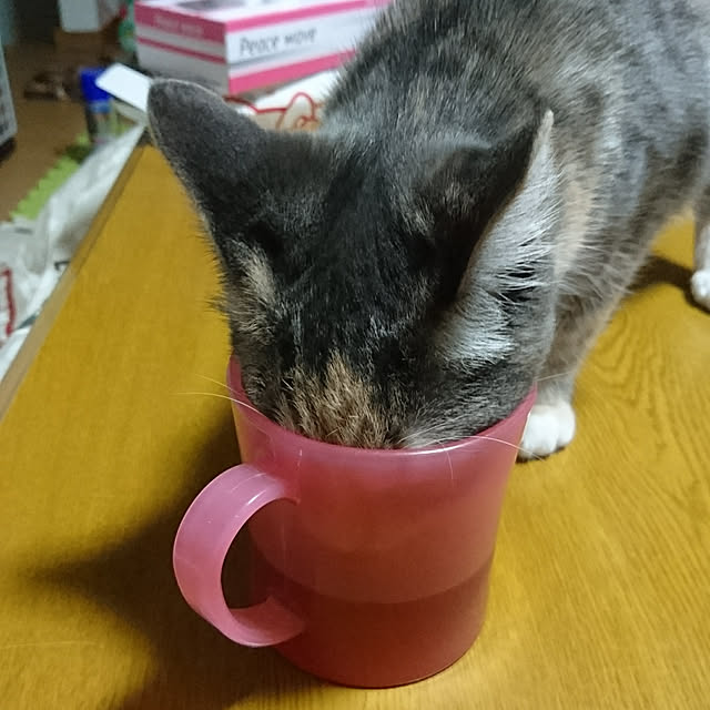 shinobuさんの実例写真