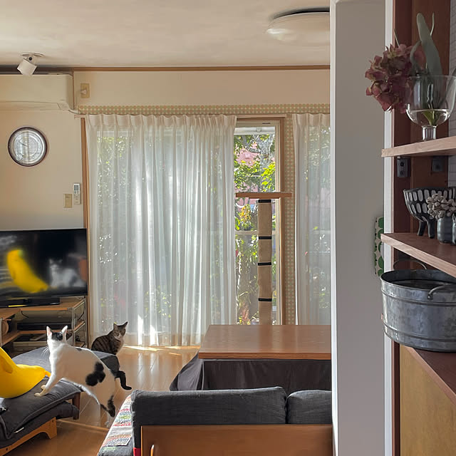 nobikoさんの部屋