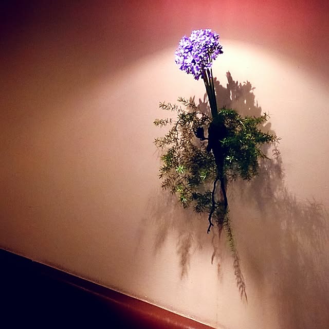 Gravityさんの実例写真