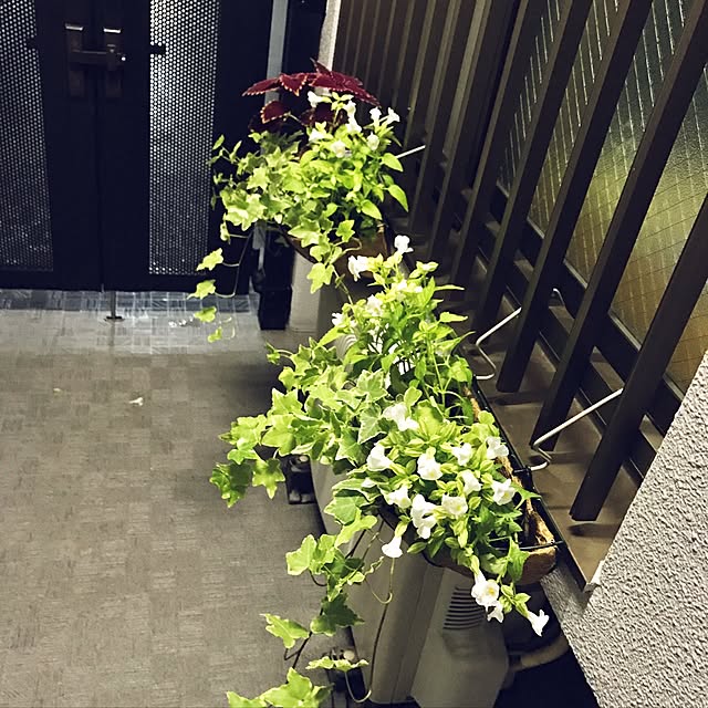 yuko25さんの実例写真
