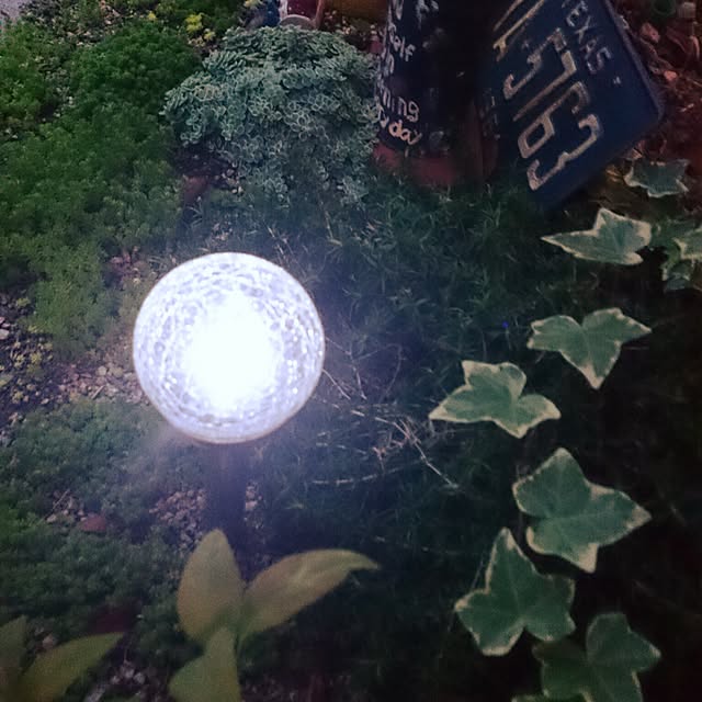 makomokoさんの実例写真