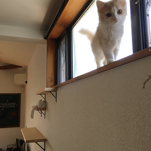 takeKAIさんの実例写真