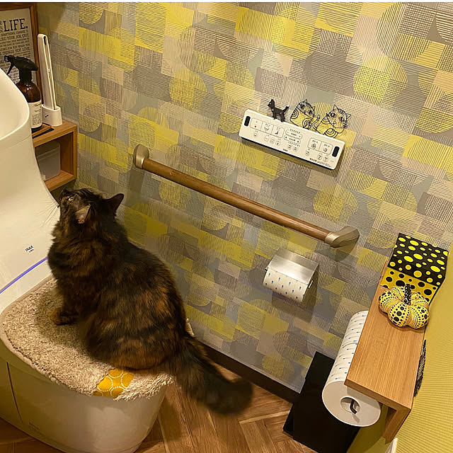 mikomaruさんの実例写真