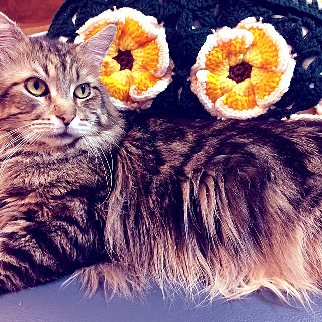 Emiさんの実例写真