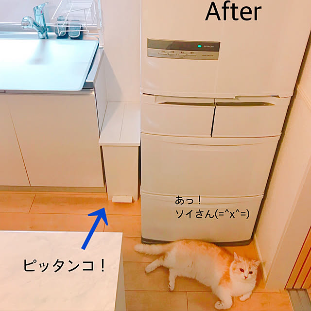 H.Tさんの実例写真