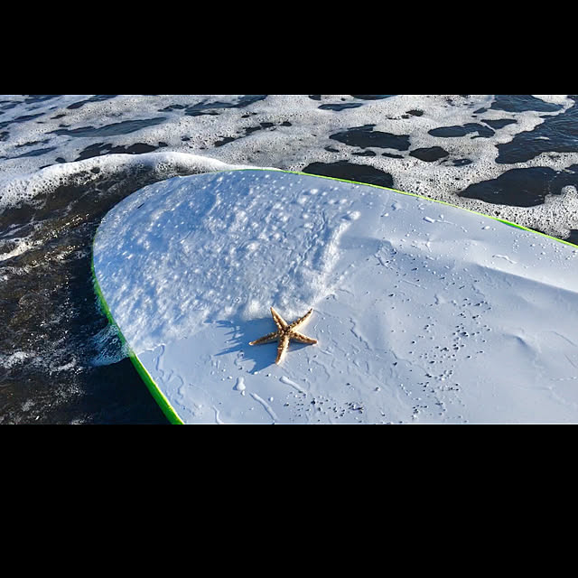 surfmoonさんの実例写真