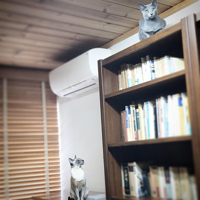 mujinekoさんの実例写真