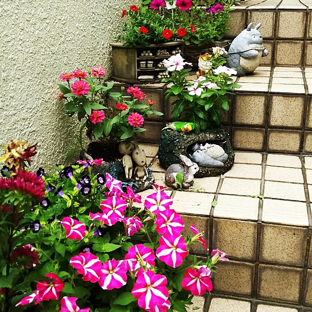 実例写真