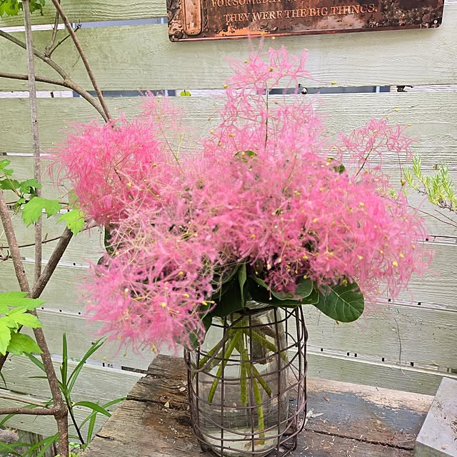 min_nimさんの実例写真