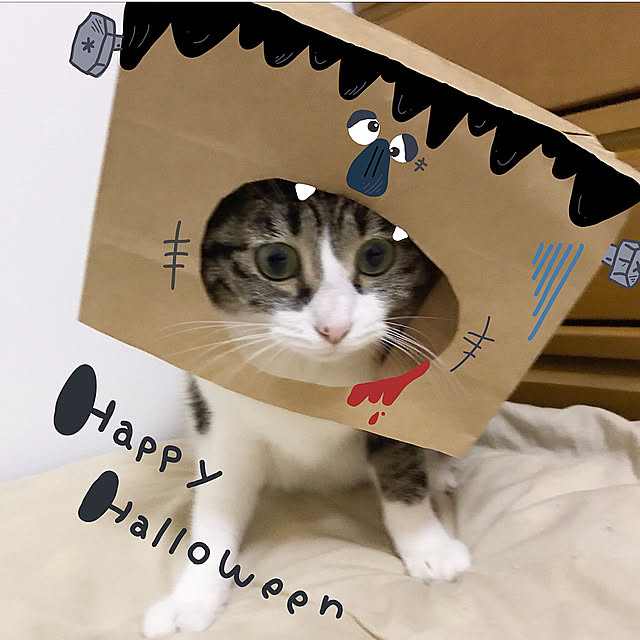 youkoさんの実例写真