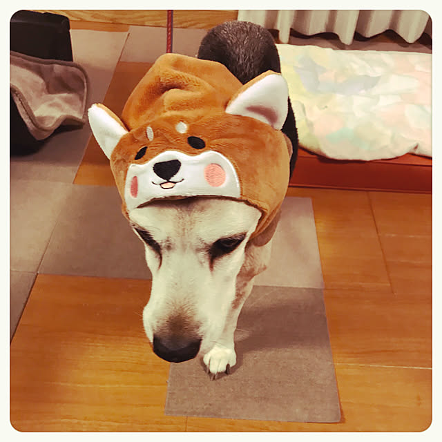 nsugi0710さんの実例写真