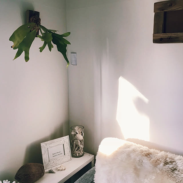 DRIFTWOOD213さんの実例写真
