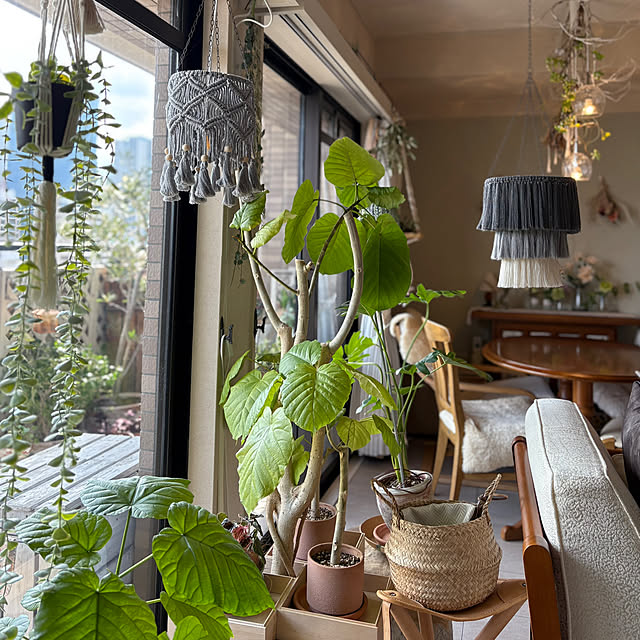 momo_sanさんの部屋