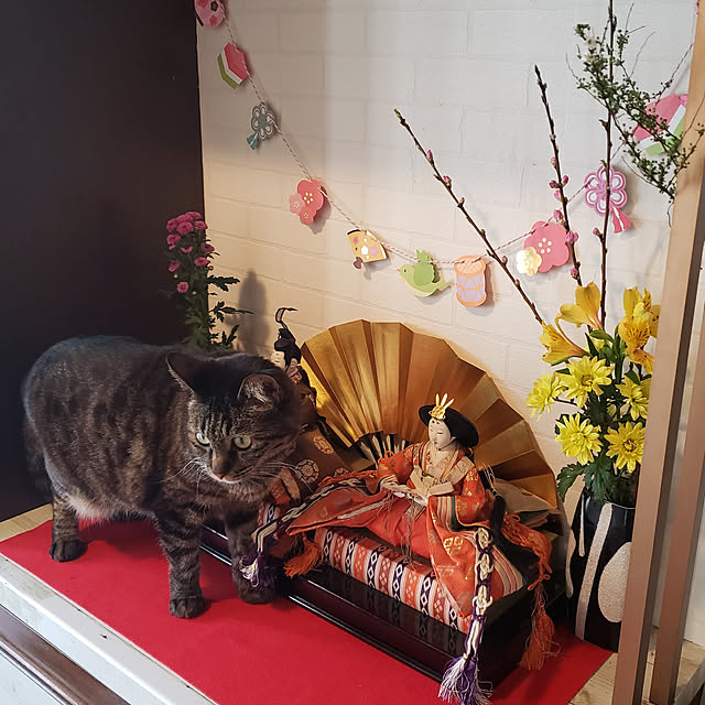 Mayumi8888さんの実例写真
