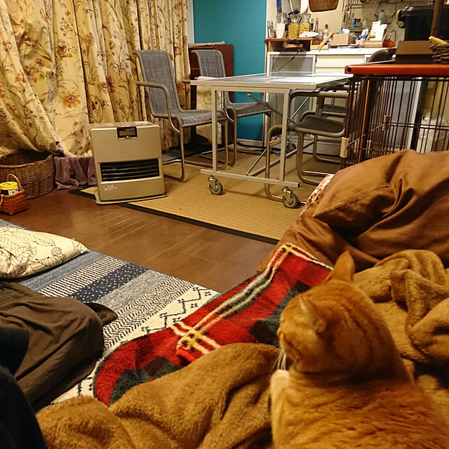 okyosan101さんの実例写真