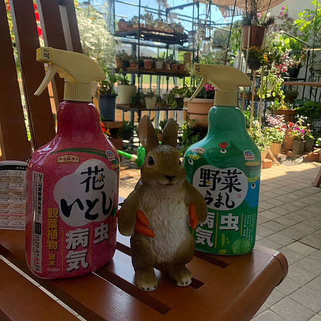 Aqettyさんの部屋