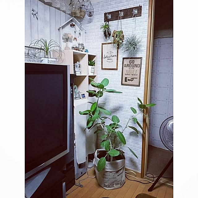 okameさんの実例写真