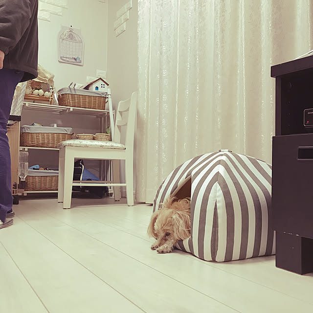 miyumiyuさんの実例写真