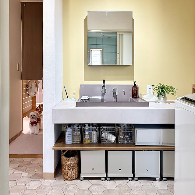 chachamamaさんの部屋