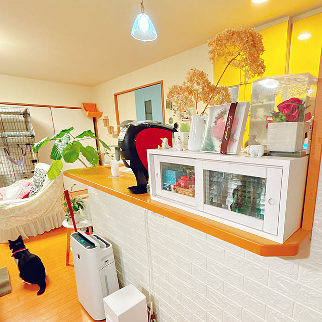 moolさんの部屋