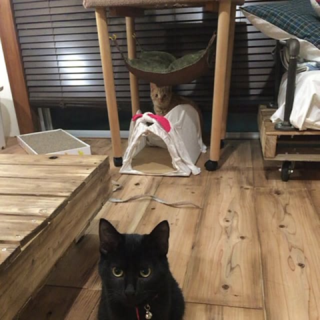 sumisumiさんの実例写真