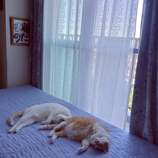 NOAHさんの部屋