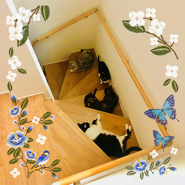 sakura_171220さんの実例写真