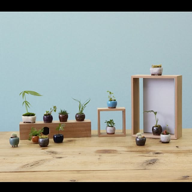 実例写真