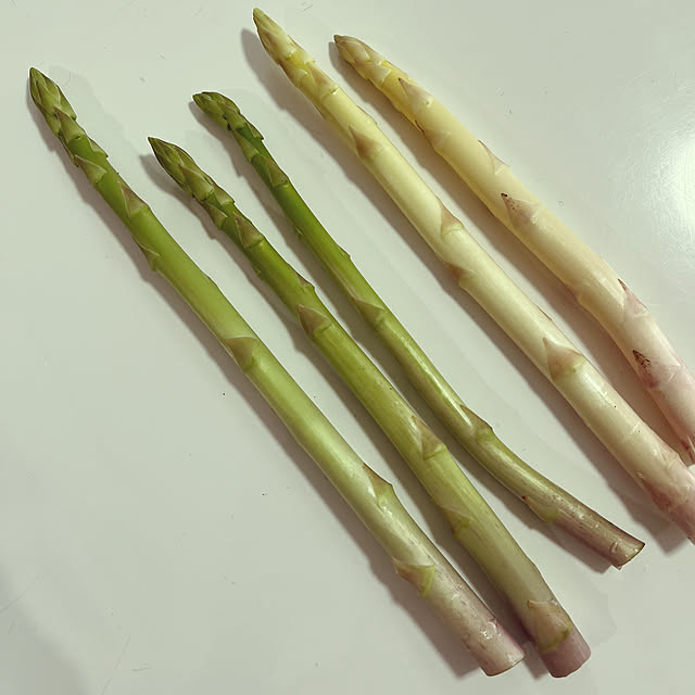 seiseiさんの部屋