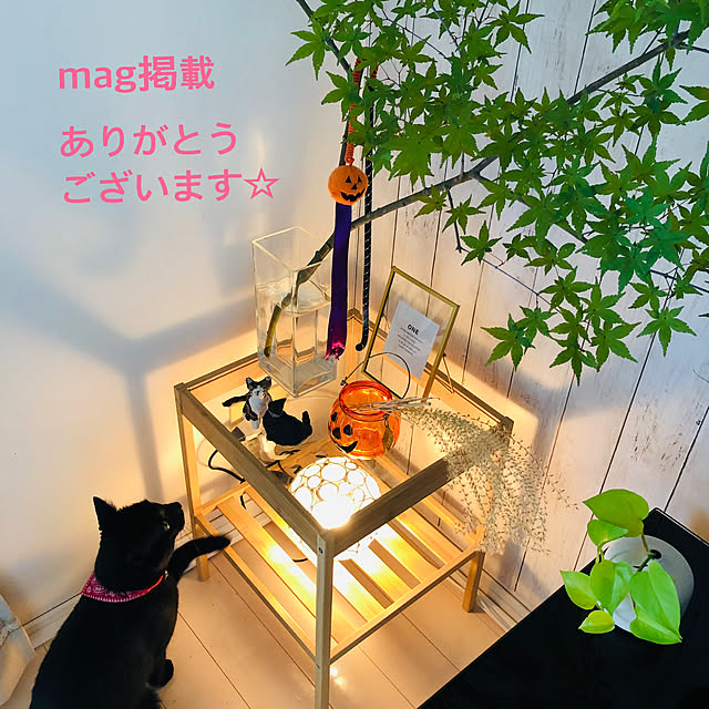 nekomiさんの実例写真
