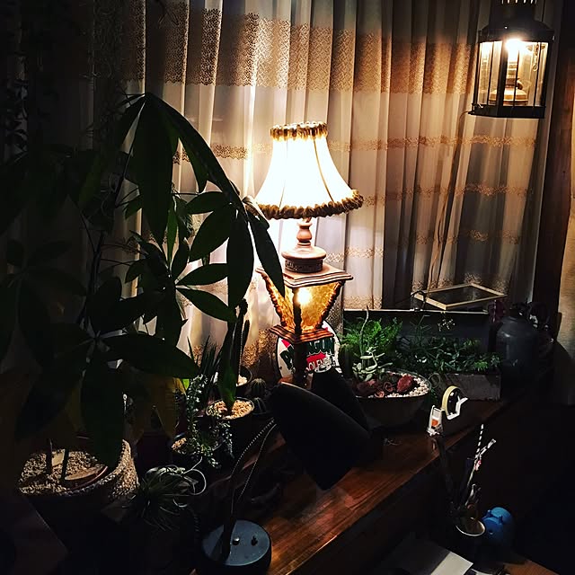 rinppさんの実例写真
