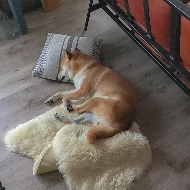 diez_taraさんの実例写真