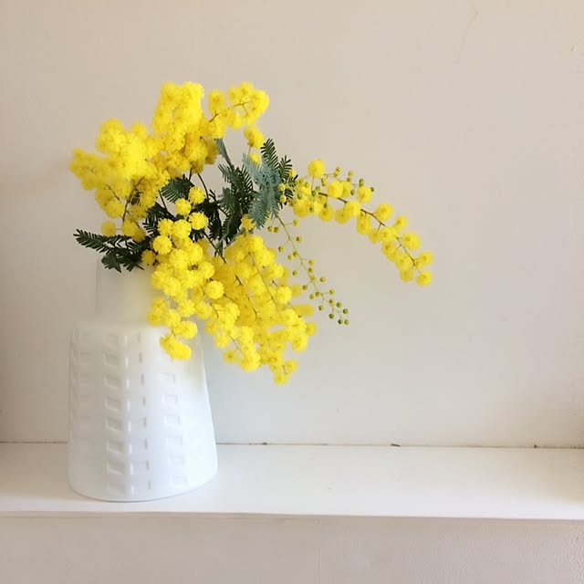 kodemariさんの実例写真