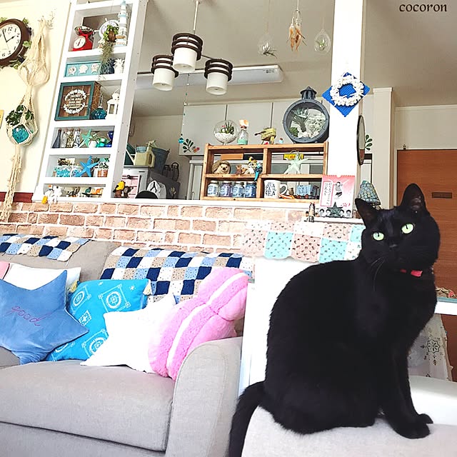 cocoronさんの実例写真