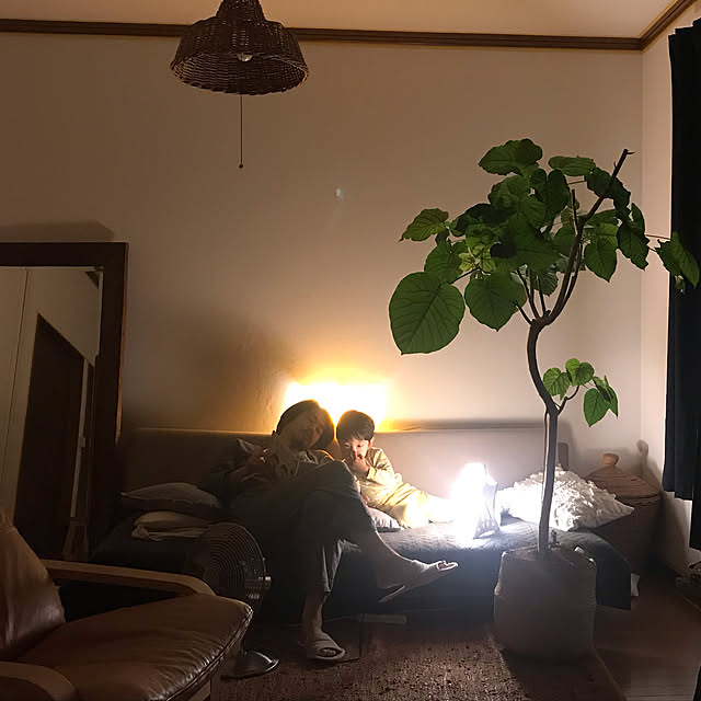 marucoさんの実例写真