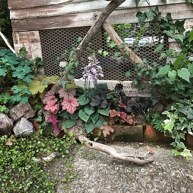 pepeさんの実例写真