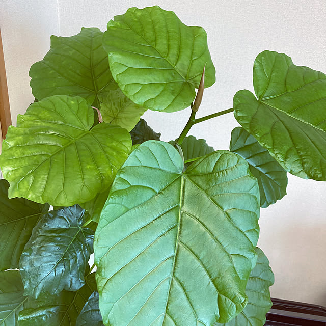 LoveMさんの部屋