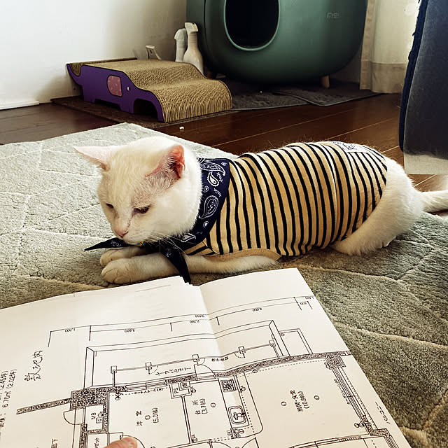 hanaさんの実例写真