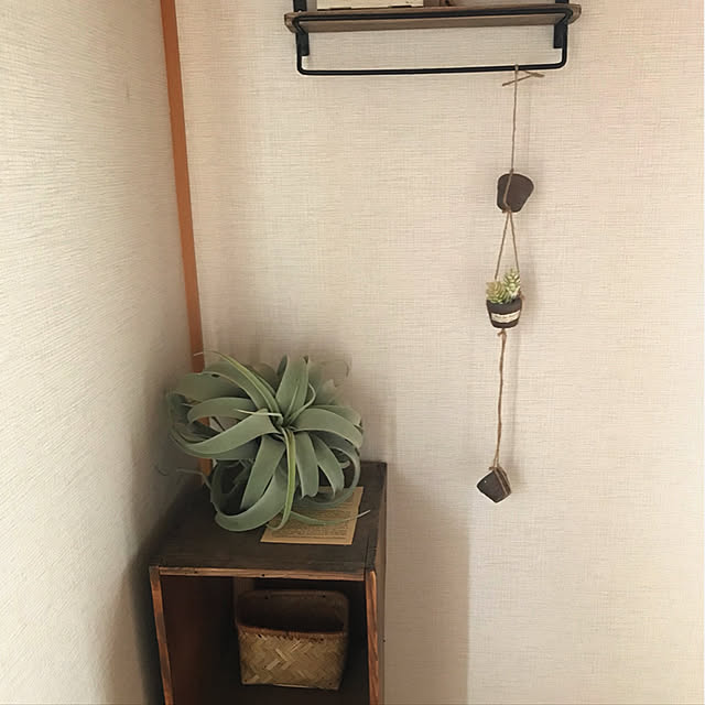 rookuさんの実例写真