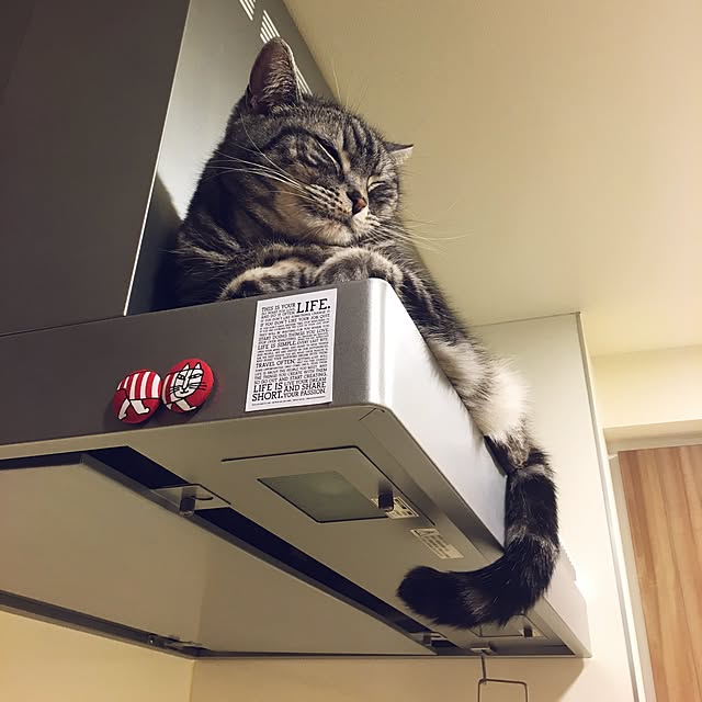 mikomaruさんの実例写真