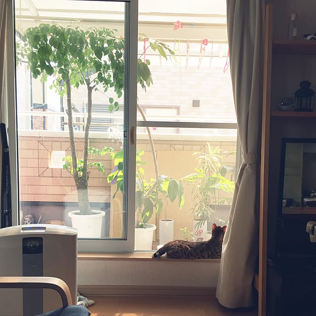 juriさんの実例写真