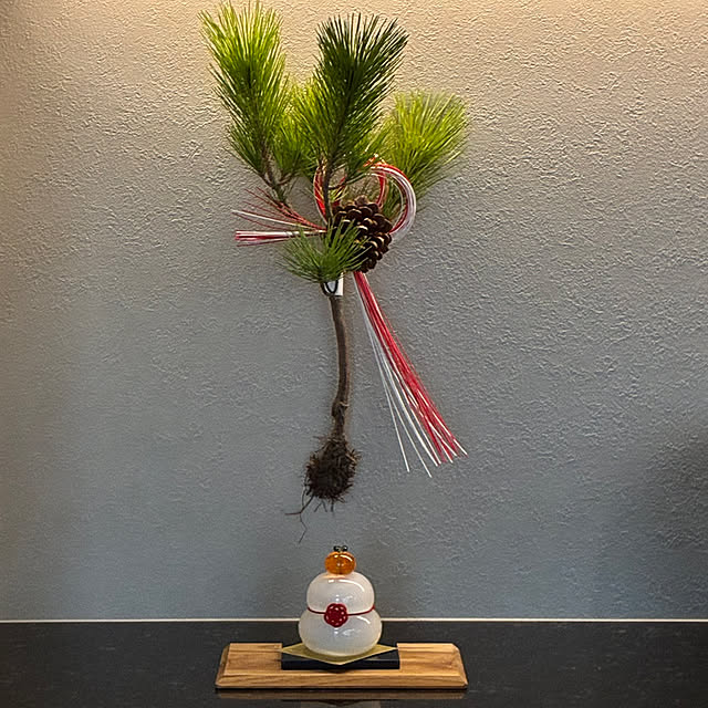 k-proさんの実例写真