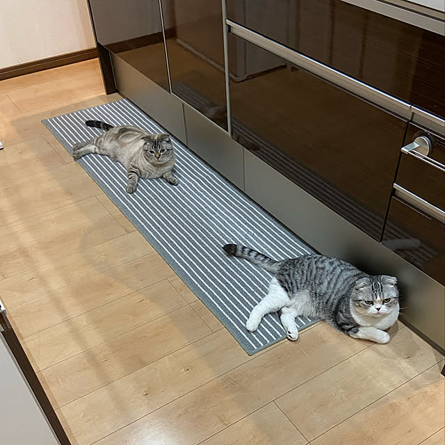 Dahliaさんの実例写真