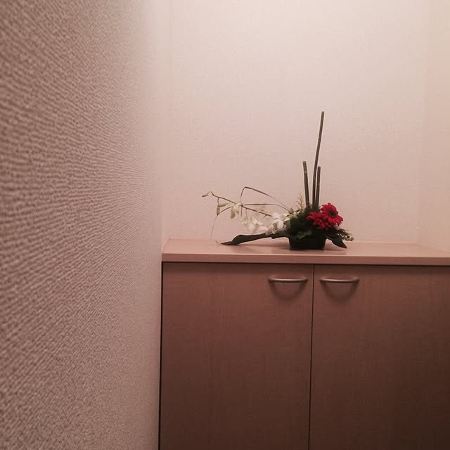 coroさんの実例写真