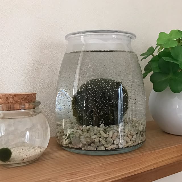 BUNさんの実例写真