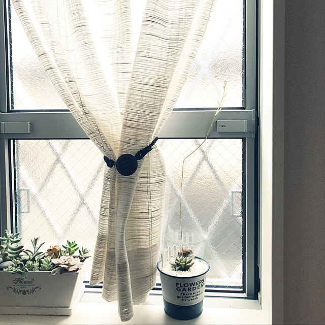 walzさんの実例写真