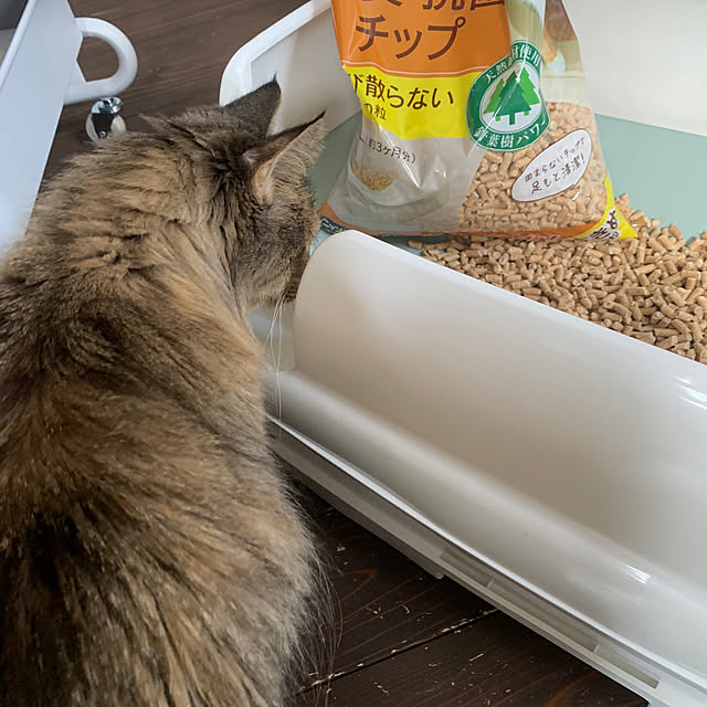 masakoさんの実例写真