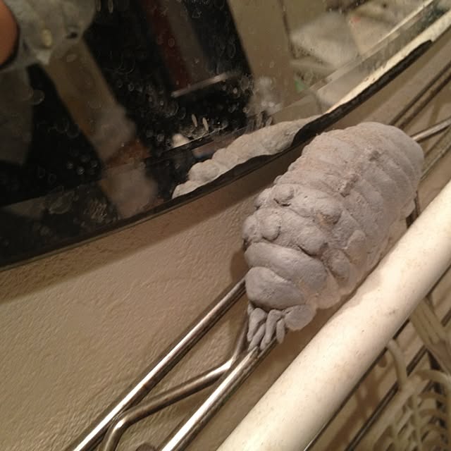 Choshiさんの実例写真