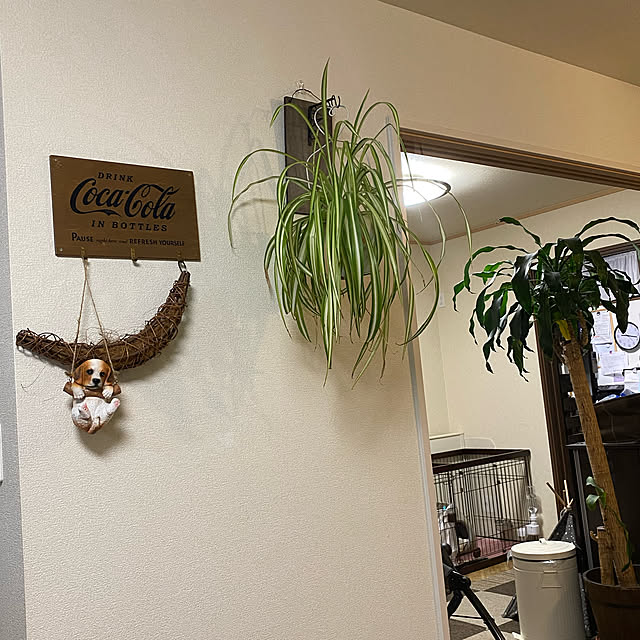 korokoroさんの実例写真